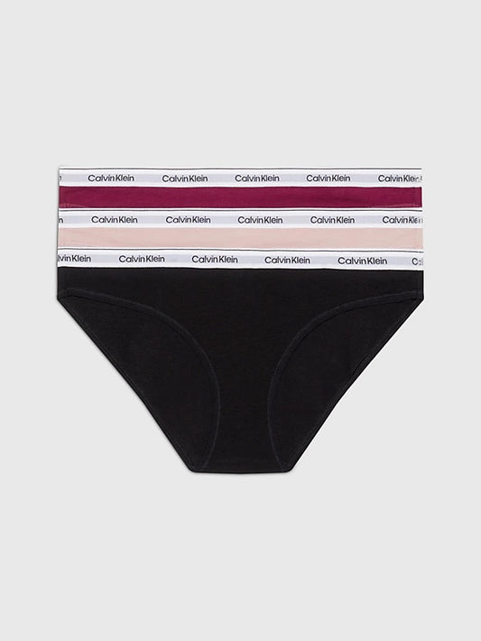 Slip 3Pack Calvin Klein